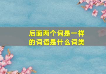 后面两个词是一样的词语是什么词类