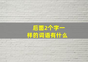 后面2个字一样的词语有什么