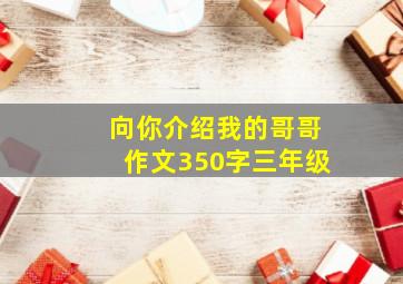 向你介绍我的哥哥作文350字三年级