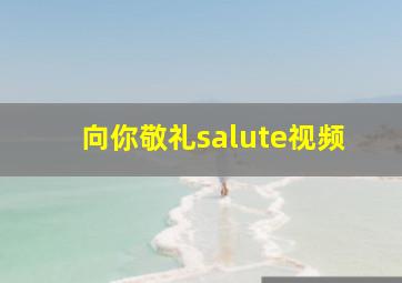 向你敬礼salute视频