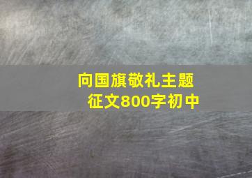 向国旗敬礼主题征文800字初中