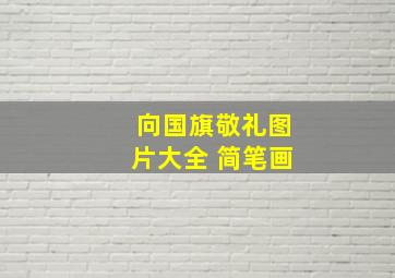 向国旗敬礼图片大全 简笔画