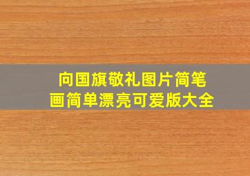 向国旗敬礼图片简笔画简单漂亮可爱版大全