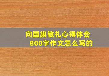 向国旗敬礼心得体会800字作文怎么写的