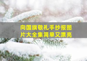 向国旗敬礼手抄报图片大全集简单又漂亮