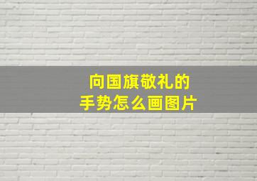 向国旗敬礼的手势怎么画图片