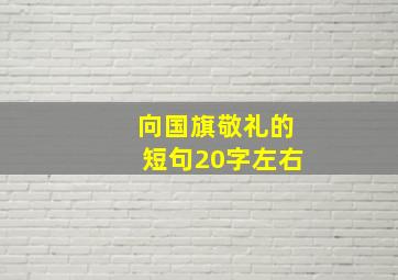 向国旗敬礼的短句20字左右