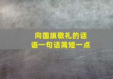 向国旗敬礼的话语一句话简短一点