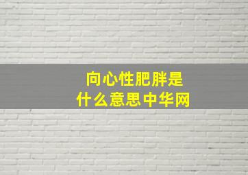 向心性肥胖是什么意思中华网