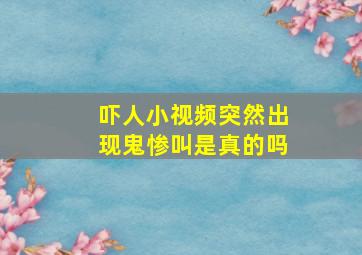 吓人小视频突然出现鬼惨叫是真的吗