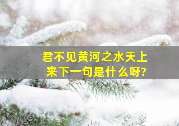 君不见黄河之水天上来下一句是什么呀?