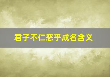 君子不仁恶乎成名含义