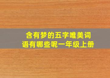 含有梦的五字唯美词语有哪些呢一年级上册