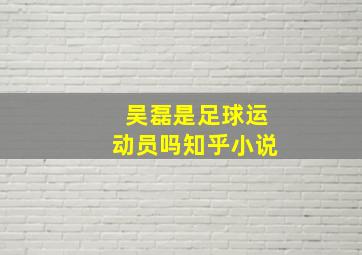 吴磊是足球运动员吗知乎小说