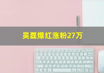 吴磊爆红涨粉27万