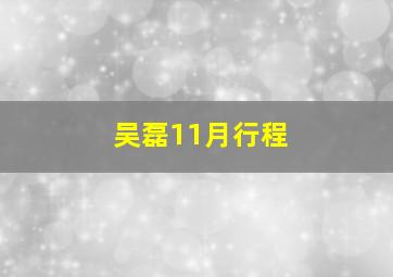 吴磊11月行程