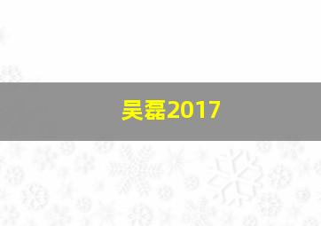 吴磊2017