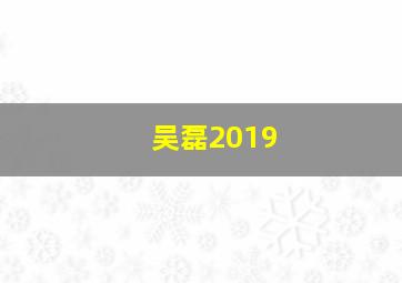 吴磊2019