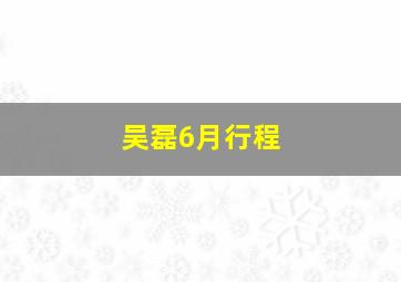 吴磊6月行程