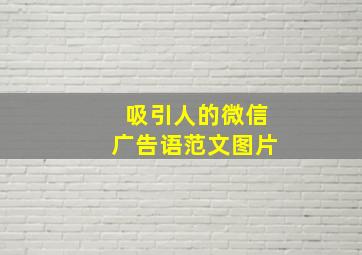 吸引人的微信广告语范文图片