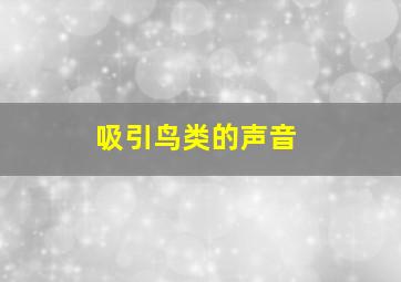 吸引鸟类的声音