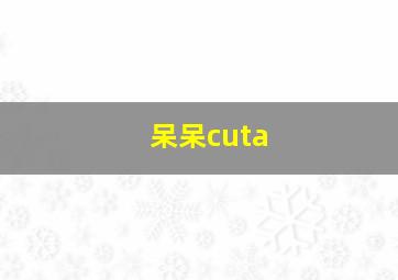 呆呆cuta