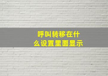 呼叫转移在什么设置里面显示