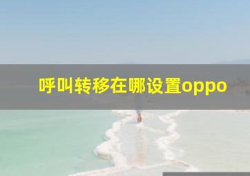 呼叫转移在哪设置oppo