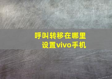 呼叫转移在哪里设置vivo手机