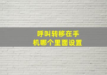 呼叫转移在手机哪个里面设置