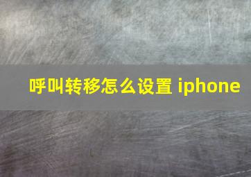 呼叫转移怎么设置 iphone