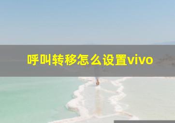 呼叫转移怎么设置vivo