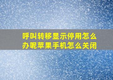 呼叫转移显示停用怎么办呢苹果手机怎么关闭