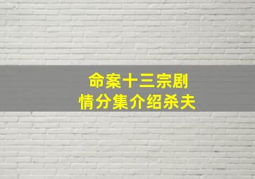 命案十三宗剧情分集介绍杀夫