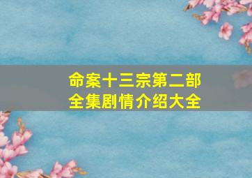 命案十三宗第二部全集剧情介绍大全