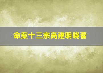 命案十三宗高建明晓蕾