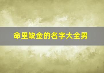 命里缺金的名字大全男