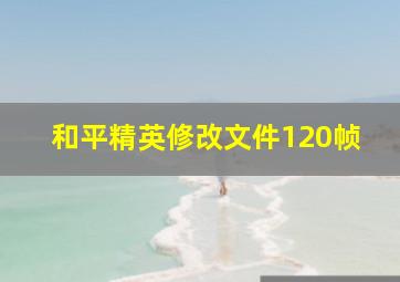 和平精英修改文件120帧