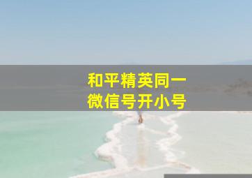 和平精英同一微信号开小号