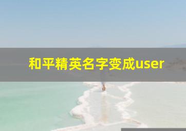 和平精英名字变成user