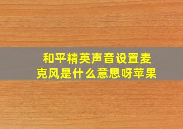 和平精英声音设置麦克风是什么意思呀苹果