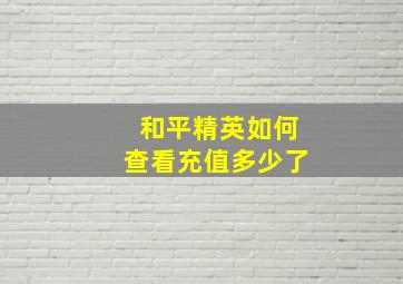 和平精英如何查看充值多少了