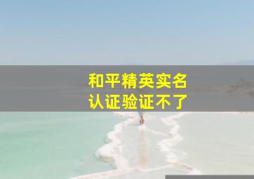 和平精英实名认证验证不了