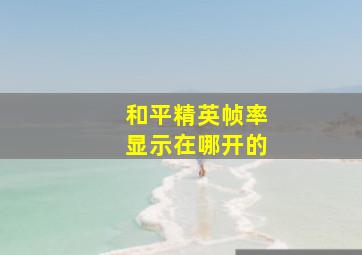 和平精英帧率显示在哪开的