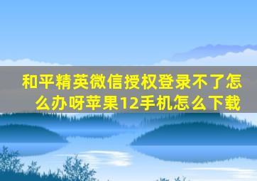 和平精英微信授权登录不了怎么办呀苹果12手机怎么下载