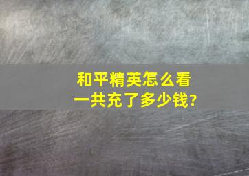 和平精英怎么看一共充了多少钱?