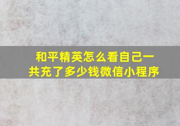 和平精英怎么看自己一共充了多少钱微信小程序