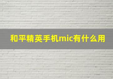 和平精英手机mic有什么用