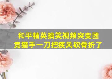 和平精英搞笑视频突变团竞猎手一刀把疾风砍骨折了