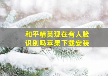 和平精英现在有人脸识别吗苹果下载安装